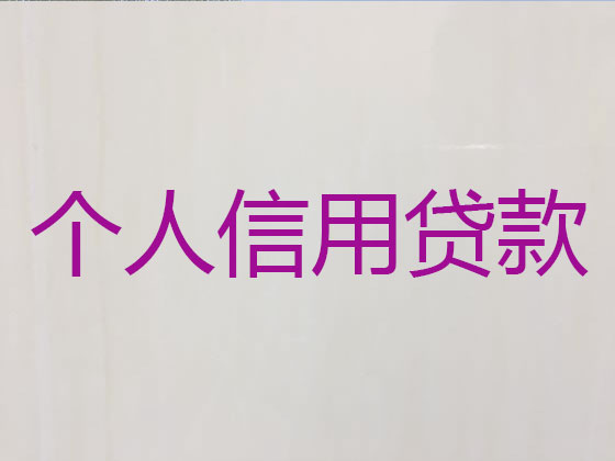 宁德贷款公司